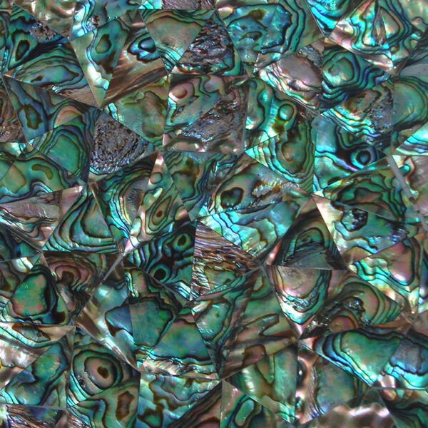 Paua Shell And Abalone Shell Mosaics « Product Categories « ShellShock ...